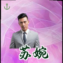 苏婉